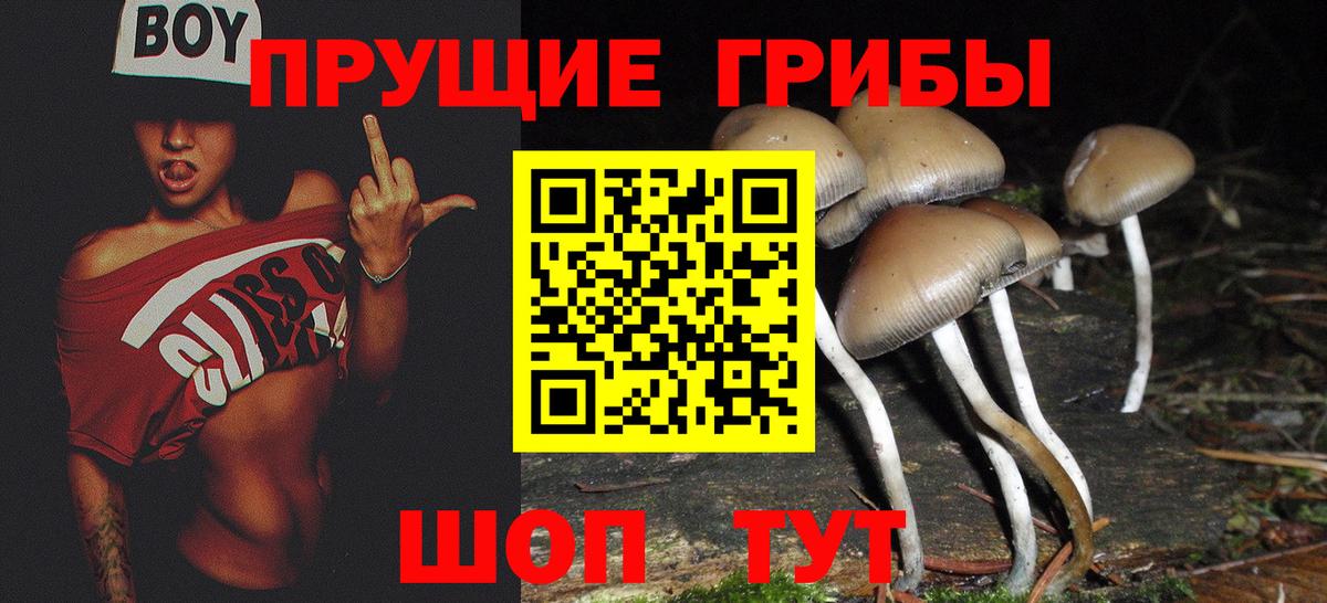 Галлюциногенные грибы мицелий Карабулак