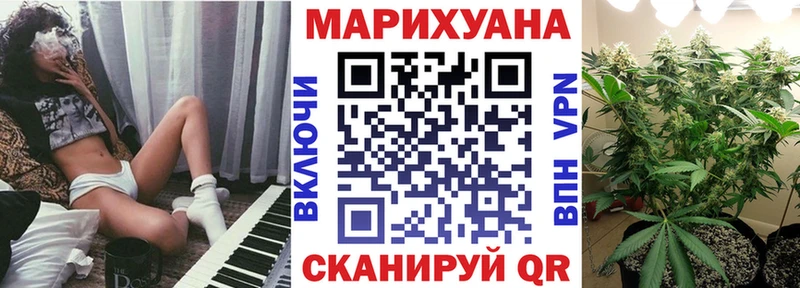 Конопля сатива Карабулак