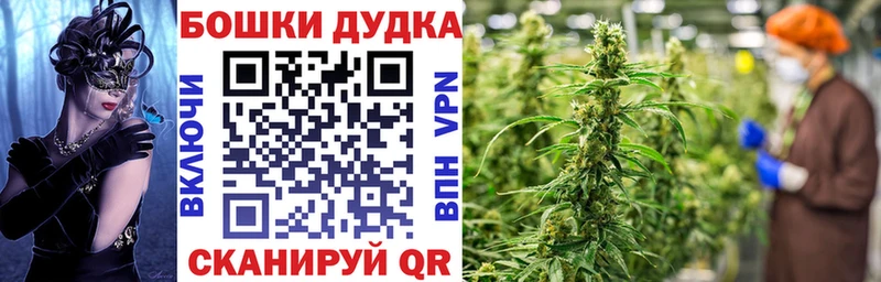 гидра зеркало  Карабулак  Бошки Шишки ГИДРОПОН 